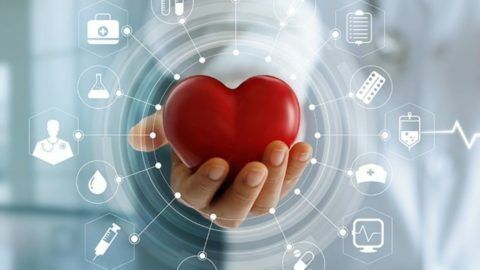 MÉDICOS ARGENTINOS ENCONTRARON UN NUEVO MECANISMO EN EL FUNCIONAMIENTO DEL CORAZÓN