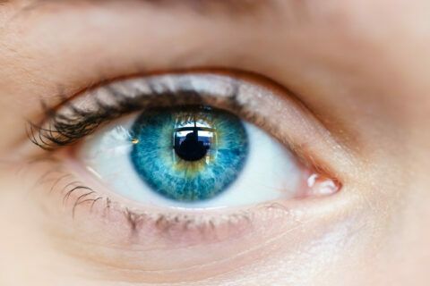 Retinopatía: Identifican mutaciones géneticas asociadas a una severa discapacidad visual hereditaria