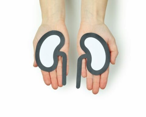 ¿Qué es una enfermedad renal?
