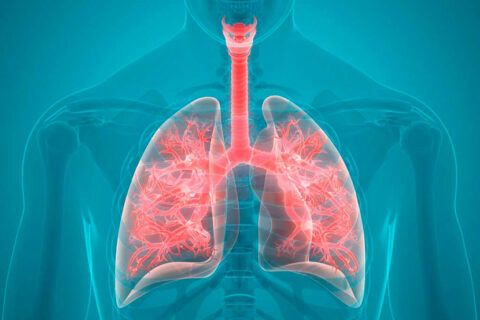 Hipertensión Pulmonar: una breve actualización