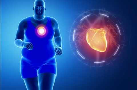 Relaciones peligrosas: ¿La obesidad puede causar Hipertensión Pulmonar?