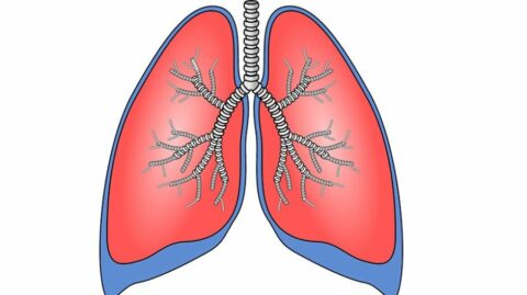 Grandes expertos en España concluyeron que es clave el trabajo multidisciplinario en el abordaje del paciente con Hipertensión Pulmonar