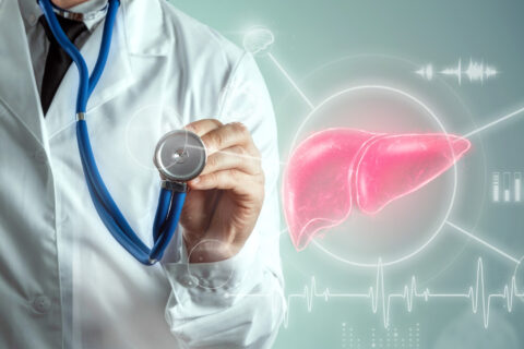 28 de julio como el Día Mundial contra la Hepatitis Viral | Fundación HCV Sin Fronteras